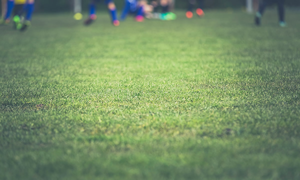 金华硫酸销售点分布图